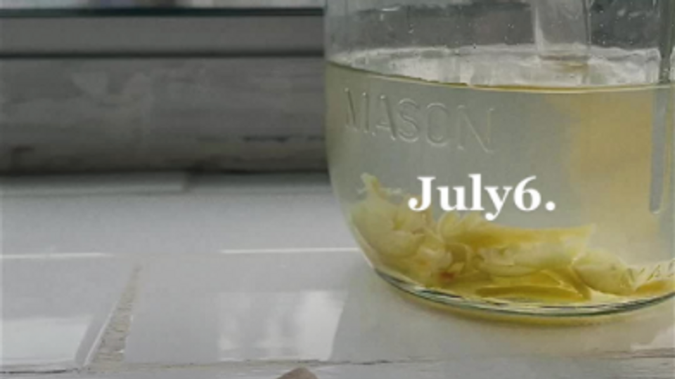 7/6 LemonOliveOilCake